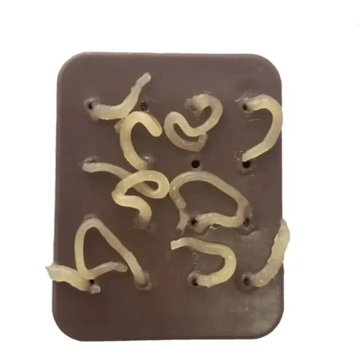 Giggle Pop Pimple Toy with Refillable Pus