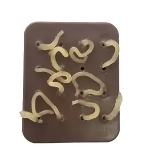 Giggle Pop Pimple Toy with Refillable Pus