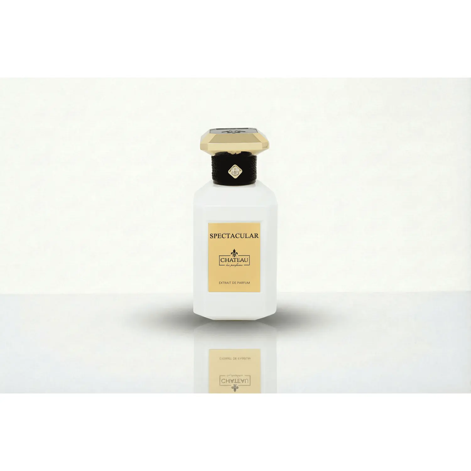 Chateau Les Parfums Spectacular 3.4oz / 100ml | Extrait de Parfum 25-30% Oil | Long Lasting Luxury Fragrance