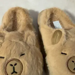 Capybara Cute Fall/Winter Fleece Boys' Slippers Girls' Indoor/Outdoor Universal Comfort Design Suitable for Children's Daily Wear Fuzzy Warm Slippers