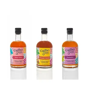 Fruit Flavored Syrup Bundle