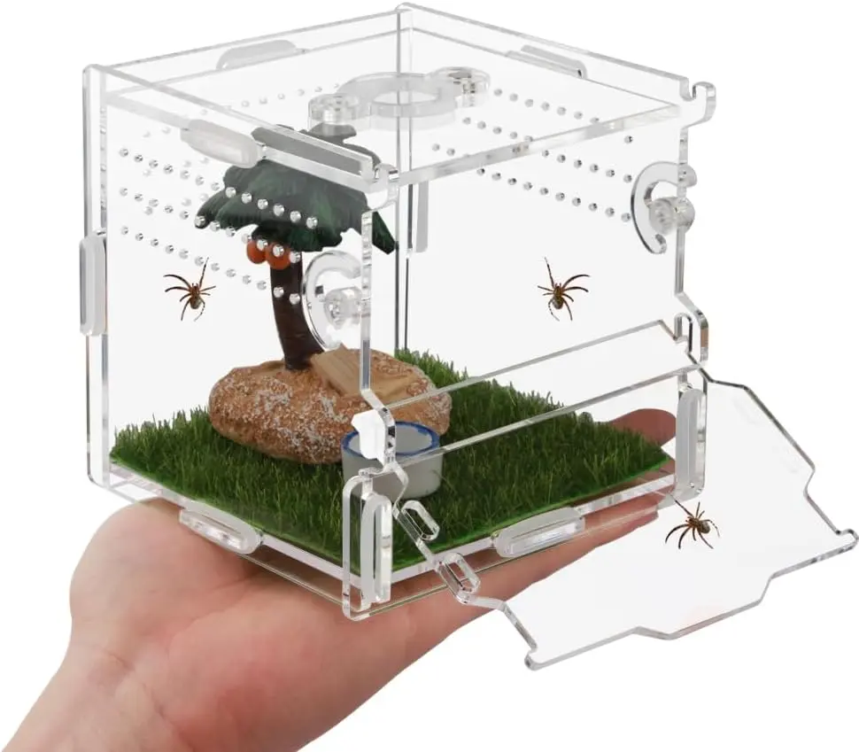 Plastic Rectangle Reptile Terrarium Habitat - Tarantula, Jumping Spider Enclosure for Sling, Scorpion, Isopods, Snail & Invertebrate Pet Supplies, Insect Habitats Accessory