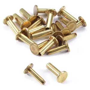 10 Pack Rivets for DIY Handles & Knife Handle Repair, USA Size 0.312 x 0.155 x 0.520 Inch Brass 2-Piece Knife Handle Fasteners
