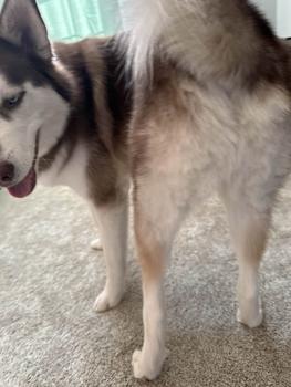 product review image from divinemysticmage 12