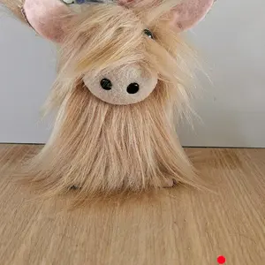Mini highland cows