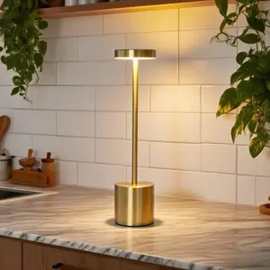 Cordless Lamp, Rechargeable Lamp, Touch Control, 3 Color Temperature, LED Outdoor Wireless, Battery Operated Lamps, Stepless Dimmable, Gold lights party event friendship Skull Handheld modern lighting campfire night Southwestern Ceramic Lamp Picture deco