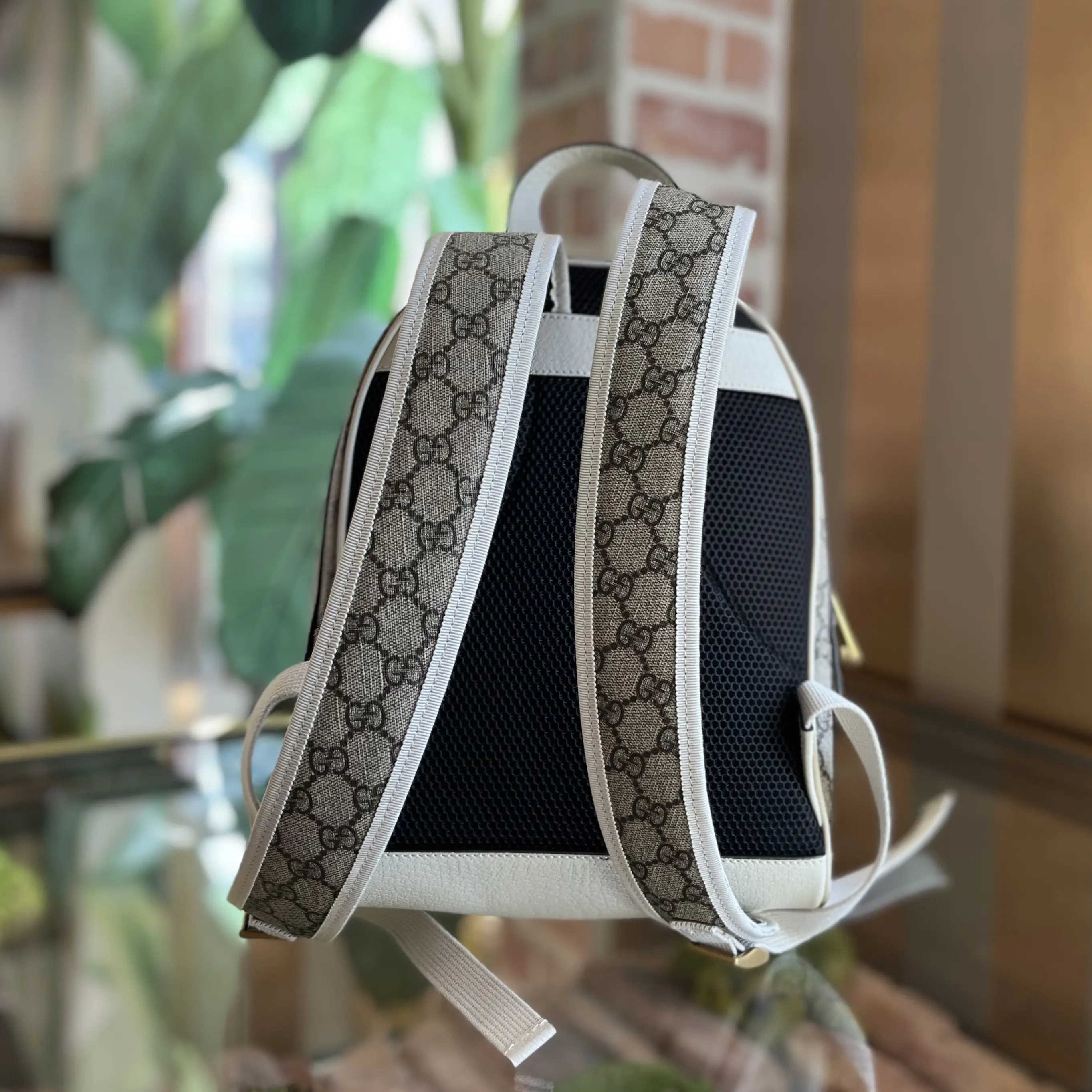 Pre-owned GUCCI GG canvas Backpacks GUCCI Ophidia Small 