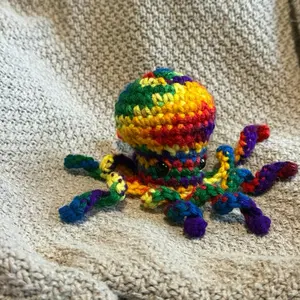 Rainbow Octopus