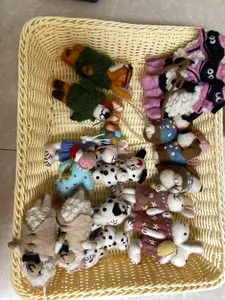 Live Stream Exclusive Benefits-Cute Plush Bag Charm Mystery Box | Random Soft Toy Keychain