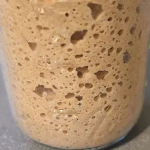 live- Sourdough Starter  whole wheat – Active Live Culture