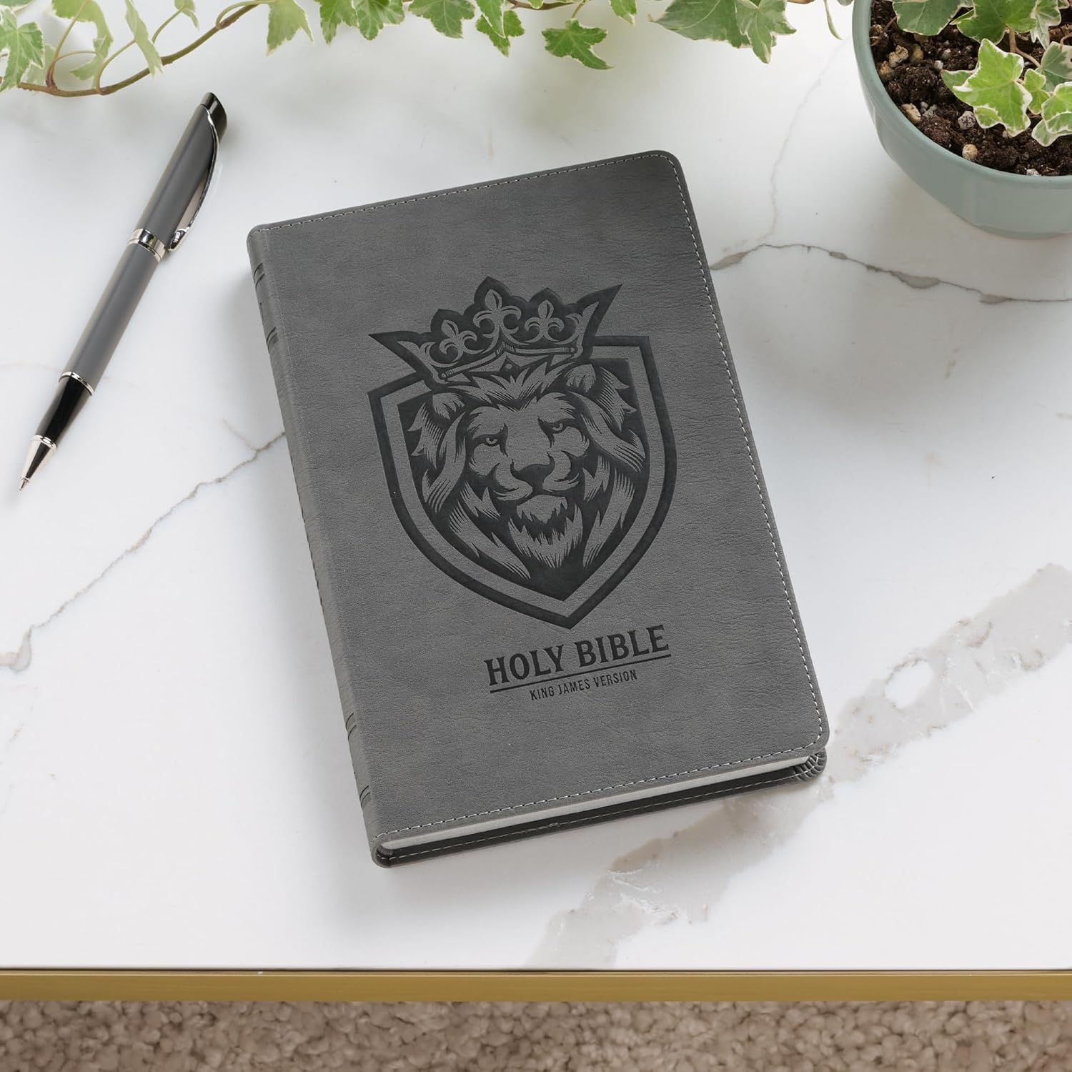 KJV Holy Bible, Gift Edition for Boys King James Version, Faux Leather Flexible Cover, Charcoal Gray Lion Emblem (KJV Gift Editions)