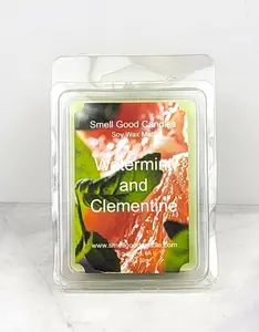 Watermint and Clementine Soy Wax Melt