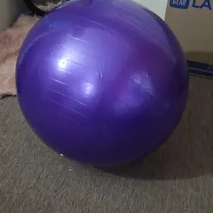 Exercise Yoga Ball, Explosion-Proof Pregnancy Ball, 45cm-85cm Ultra-Thick, Suitable for Home Gym and Birth, Swiss Ball for Pilates and Stability, Home Workout Equipment