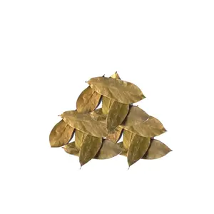 Soursop Leaf Tea (Guanabana) 2oz – Wildcrafted Herbal Tea for Immune Support, Antioxidant Boost & Natural Wellness – Organic Graviola Leaf for Detox, Digestion & Relaxation