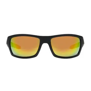 Apollo Gold Mirror Sport Sunglasses