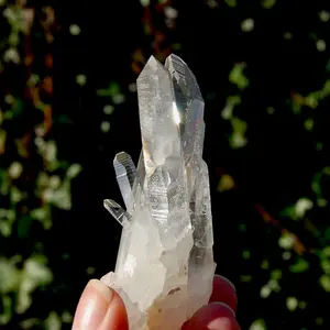 4" Grounding Lemurian Seed Quartz Crystal Cluster, Peñas Blancas, Colombia
