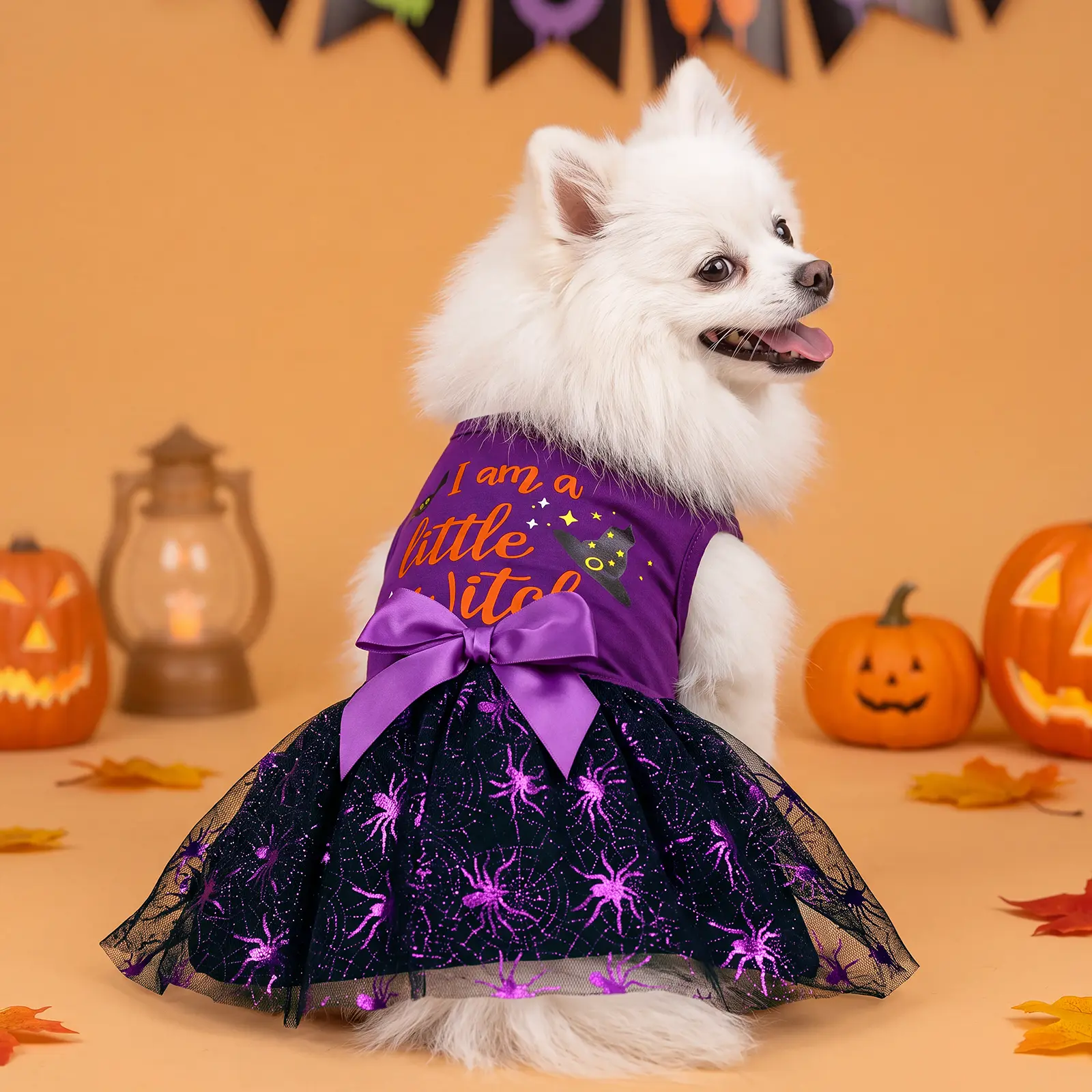 XPUDAC Halloween Witch Tulle Dog Dress for Small Girls' Dogs, Spider Cartoon Pet Costume, All-Seasons All-Day Wear Cat Apparel