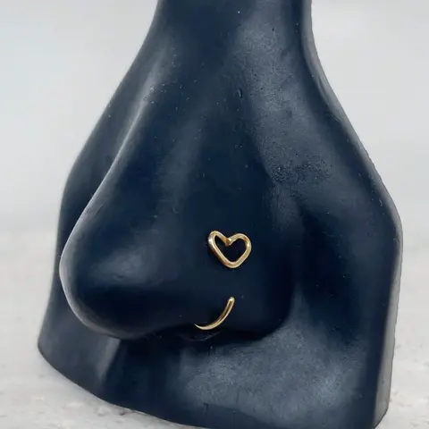 Stainless Steel Heart Design Nose Ring, Unique Body Piercing Jewelry, Elegant Accessories for Women