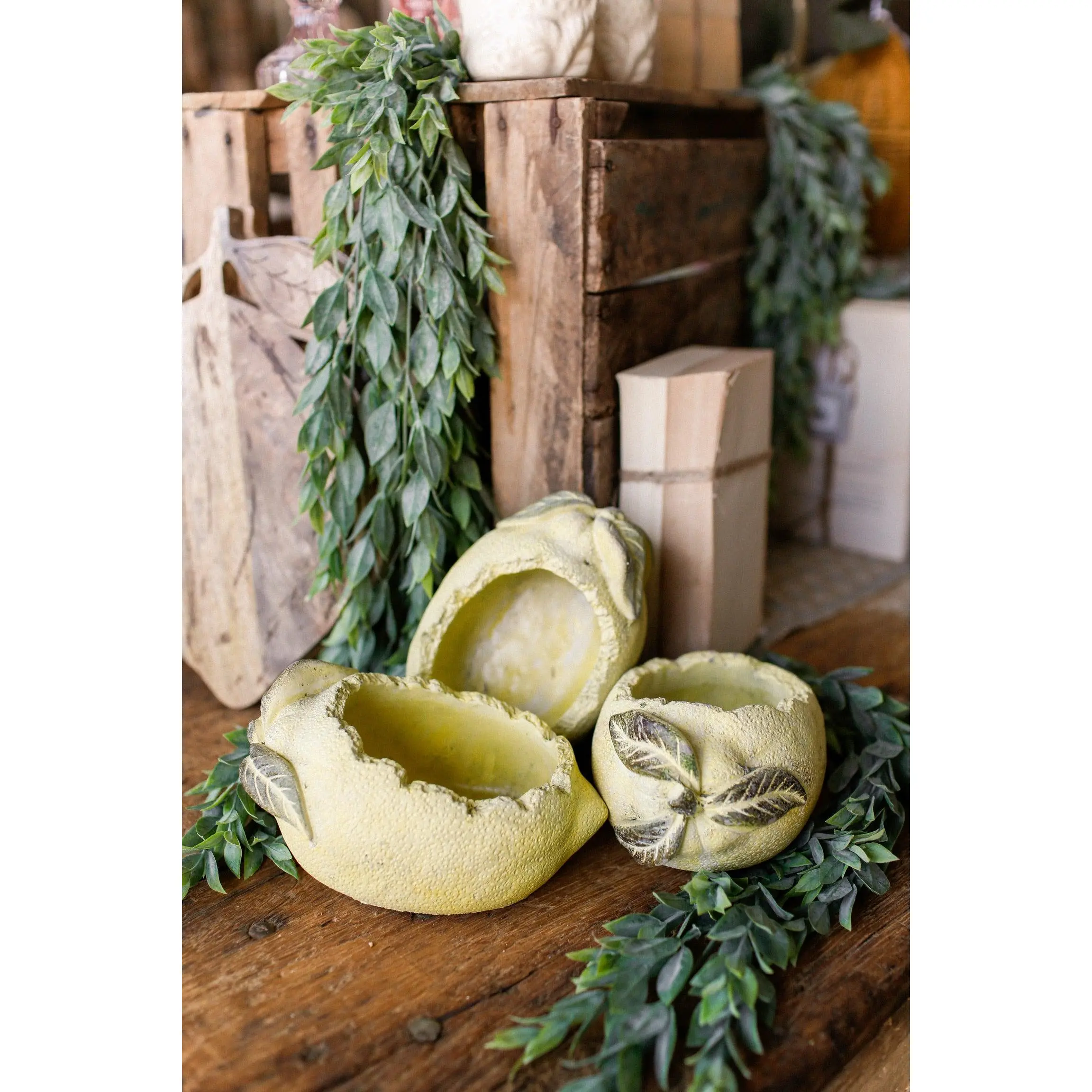 Lemon Concrete Planter
