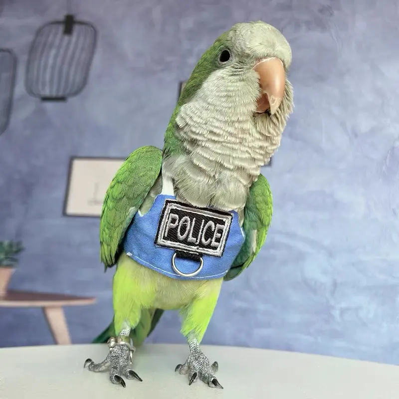 Parrot Bird Vest Harness Outdoor Release Suit Outerwear, Comfortable & Durable Design, Perfect for Avian Care & Training, Easy-To-Wear