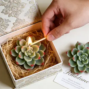 Realistic succulent plant silicone mold, suitable for resin, soft pottery, and soap production - multi-purpose DIY handmade mold, including cactus and succulent shapes, compatible with gypsum, soap, and resin crafts, making it a great gift for enthusiasts