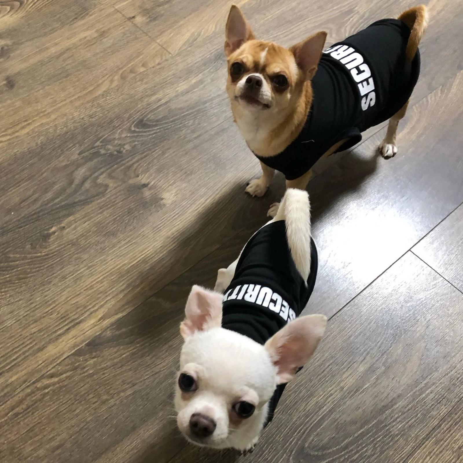 Security Brand Summer Pet Clothes Vest for Small Dogs Chihuahua Yorkshire Puppy Cats Low Price T-shirt Costume