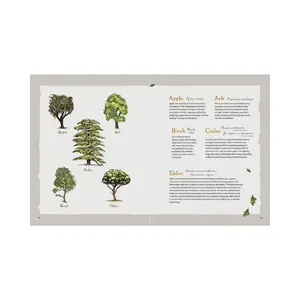 GREEN WITCH ILLUSTRATED: AN ENCHANTING IMMERSION INTO THE MAGIC OF NATURAL WITCHCRAFT [Hardcover]