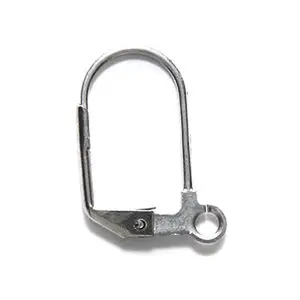 FI43-SN: Earring Lever Back Stainless Steel - 6PR