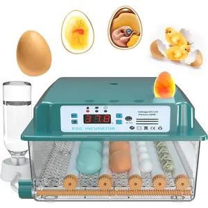 Choies 16 Egg Incubator,Incubators for Hatching Eggs,Automatic Egg Turning,Humidity Control,Automatic Water Adding,Incubator with Egg Candler,Quail Eggs Incubators for Hatching Chicken,Duck,Goose
