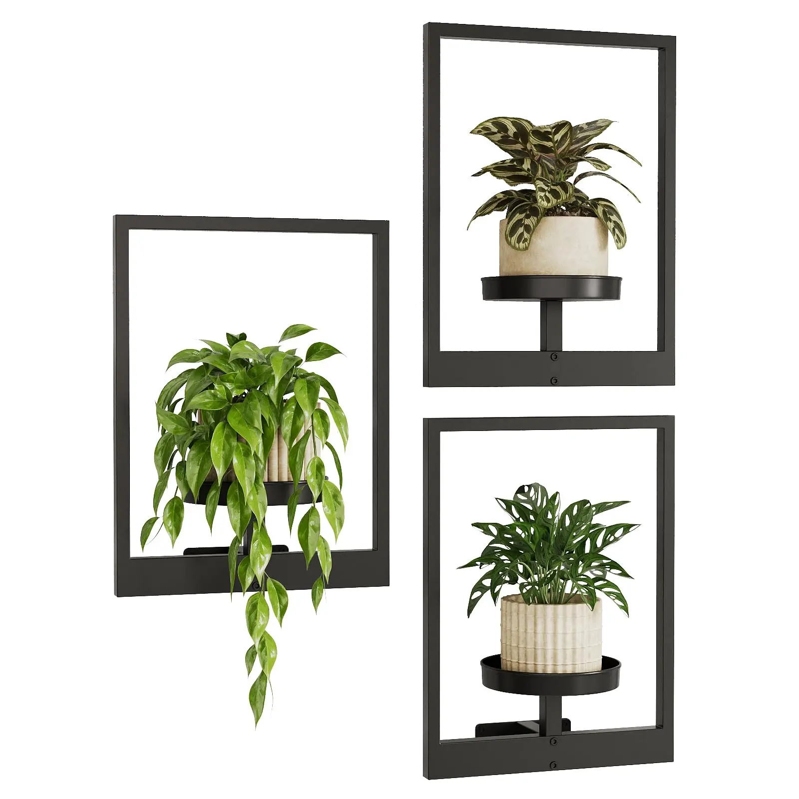 Black Iron Wall Mounted Planters Set of 2 - Modern Gallery-Style Wall Plant Holder, Minimalist Indoor/Outdoor Hanging Flower Shelf
