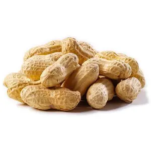 Peanuts In Shell Double Dark Roast