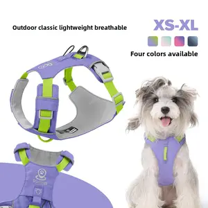 Lightweight Double Chest HarnessDog LeashWalking Leash
