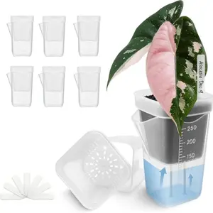Thickened Semi-Transparent Hydroponic Square Succulent Plastic Flower Pots, Water Level Indicator & Drainage Hole, Indoor/outdoor Use