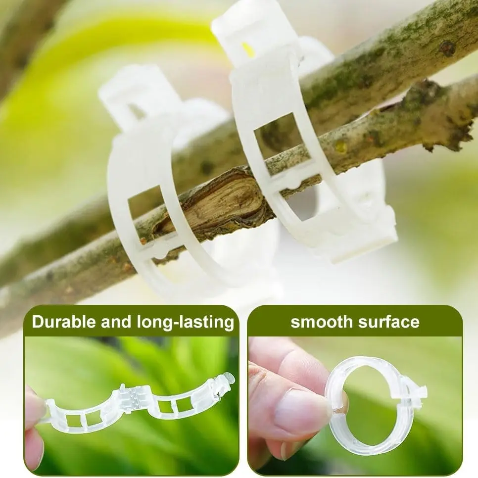 100PCS,Secured Plastic Plant Clip, Versatile Plant Clips for Climbing Plants Clear for Tomato Grape, Plant Fixing Clips,Garden Clips for Climbing Plants,Garden Supplies, Grape and Vine Vegetables