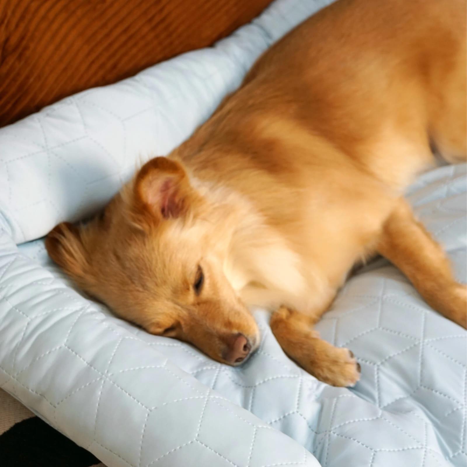 Elevated Large Cooling Dog Bed with Neck Support Headrest - Instant Cooling Silk Fabric, Washable Anti-Slip Mat, Portable Built-In Pillow for Small to Large Dogs & Cats Up to 40lbs (Summer Use)