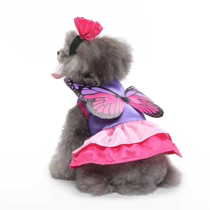 Pet funny clothes Halloween and Christmas pet clothes clown and wizard transformation costumes dog clothes