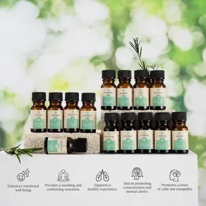 Seasonal Scents Christmas Essential Oils Collection