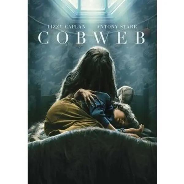 USED-Cobweb (DVD)