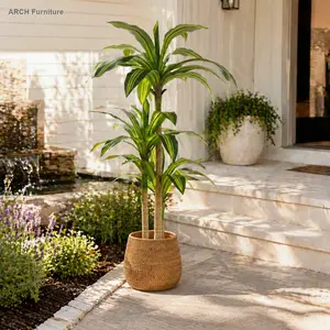 60" Height Artificial Dracaena Tree, 1pc Set with Black Plastic Pot, Realistic Look Artificial Plants, Household Items Decor for Bedroom, Living Room, Decor Items - Home Supplies,summervibes