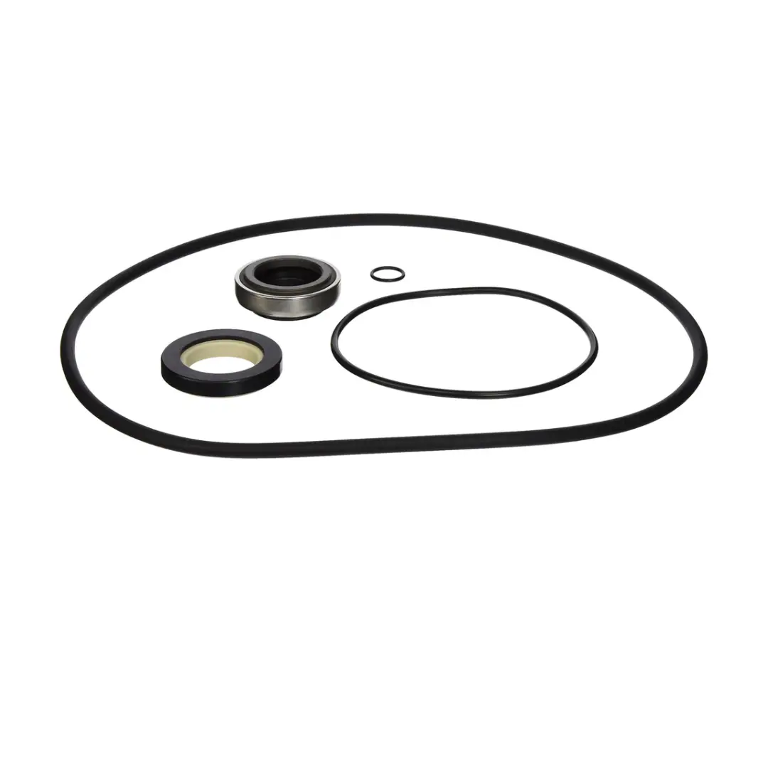 Hayward Internal Seal Kit | HCXP6004A