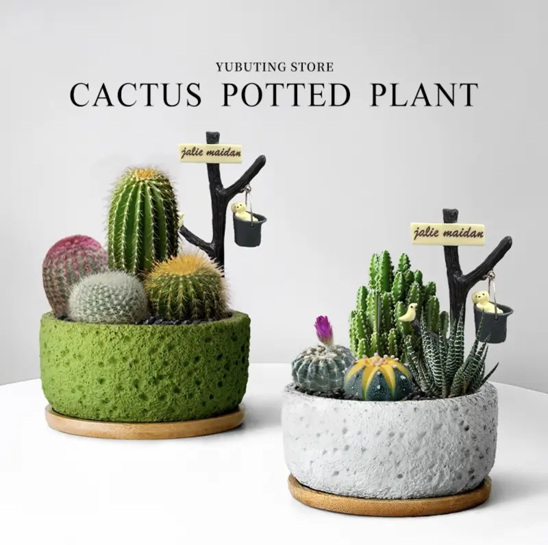 indoor terracotta plant pots Greenwash Terracotta Studio Planter | Artisan Made