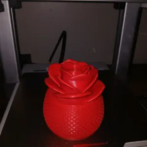 Red Rose Design Storage Container with Elegant Mesh Base for Home Decor and Organizing