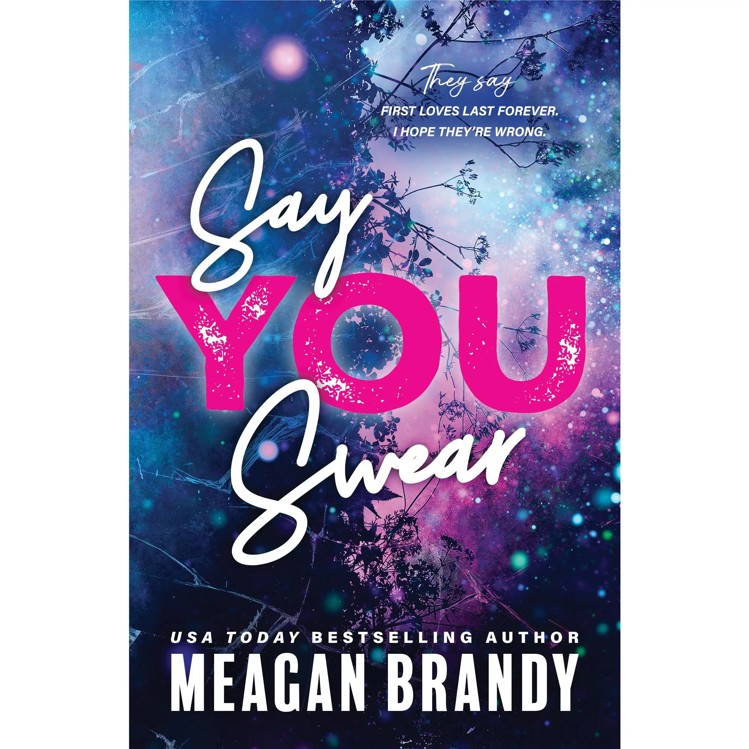 Say You Swear -- Meagan Brandy - Paperback