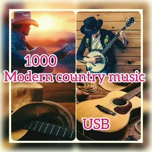 1000 modern  country music usb