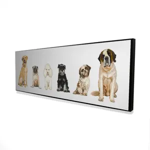 Begin Home Decor 2081-2060-AN503 20 x 60 in. Mans Best Friend - White Animals Framed Canvas Decor