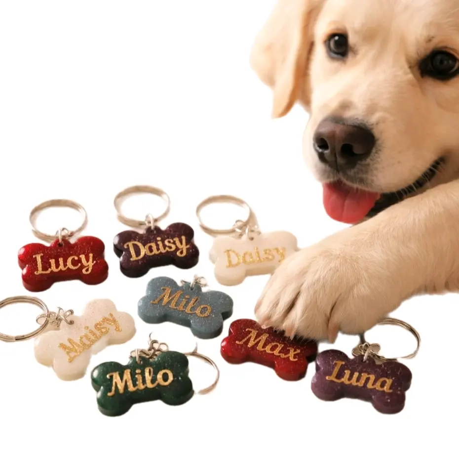 Durable Pet Name Tags for Dogs and Cats, Essential Identification Accessory for Pet Supplies