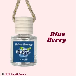 Blue Berry Pure Air Scented Air Freshener Oil Diffuser - Hangable Glass Woody Design - Lasts 60+ Days - Fragrance Oil Diffuser