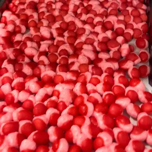 Freeze Dried Red Hot Bites 4oz Bag