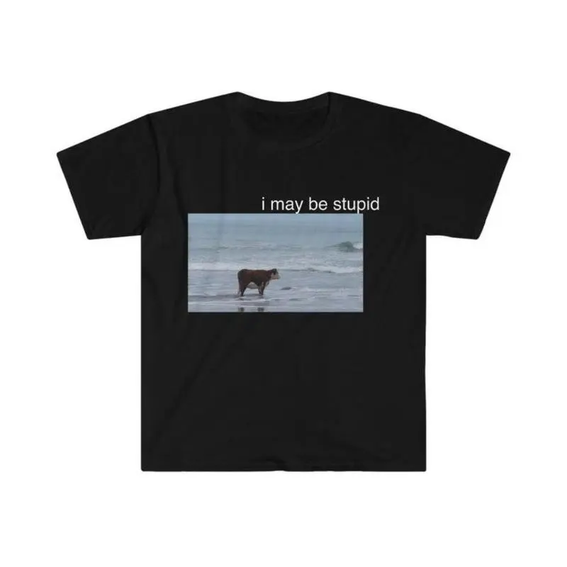 I May Be Stupid Co on Beach Funny WoMeme TShirt Menswear Top Casual Cotton Tee Black