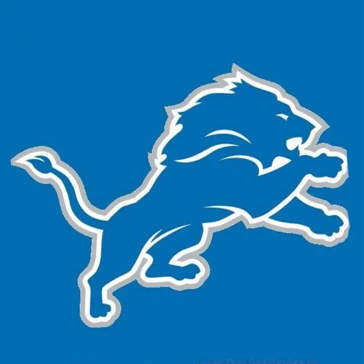 Detroit Lions 